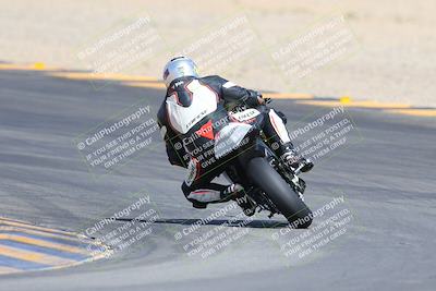 media/Mar-10-2024-SoCal Trackdays (Sun) [[6228d7c590]]/9-Turn 8 Backside (1150am)/